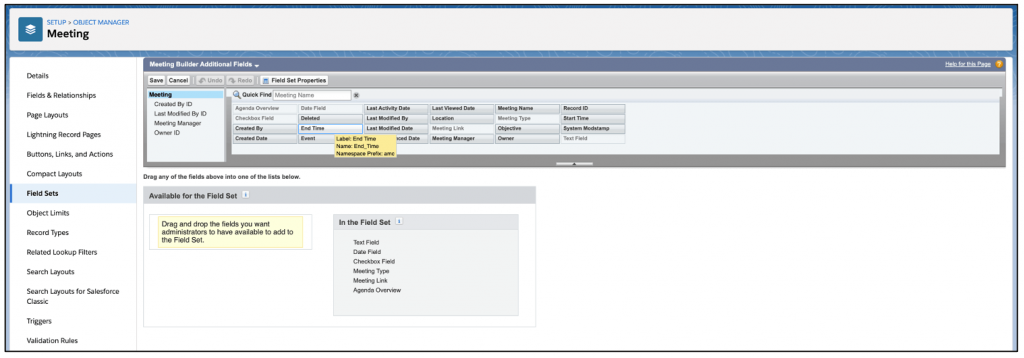 Salesforce Project Management Software - Meeting Manager Meeting Field Set