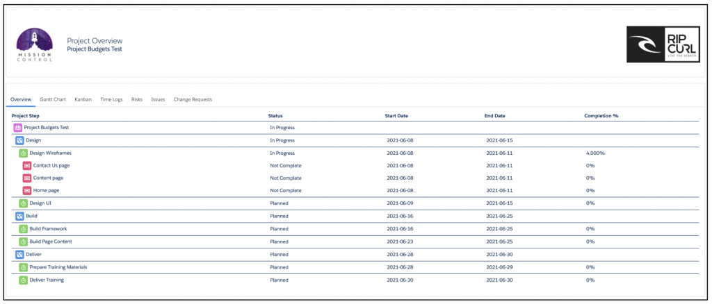 Salesforce Project Management Software - Customer Overview Tab