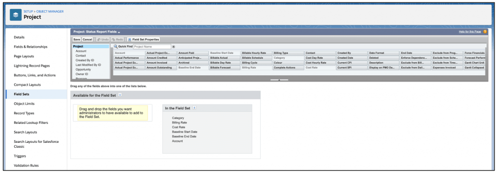 Salesforce Project Management Software - Customer Project Field Set