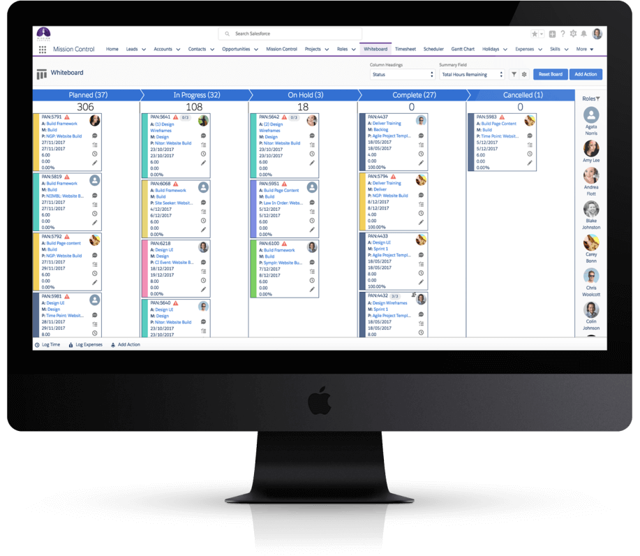 Salesforce Project Management Software - Gantt Chart