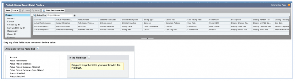 Salesforce Project Management Software - Project Status Report Detail Field Set