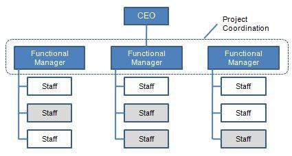 Functional organization