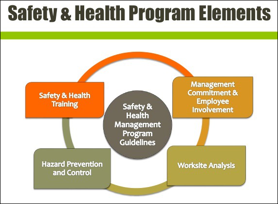 Health and safety management