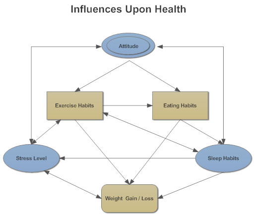 Influence diagram