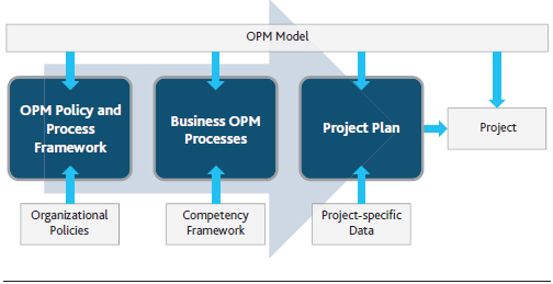 Organizational project management