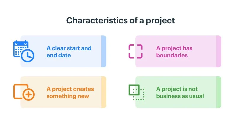 Project definition