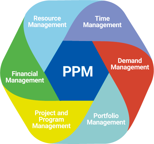 Project portfolio management (PPM)