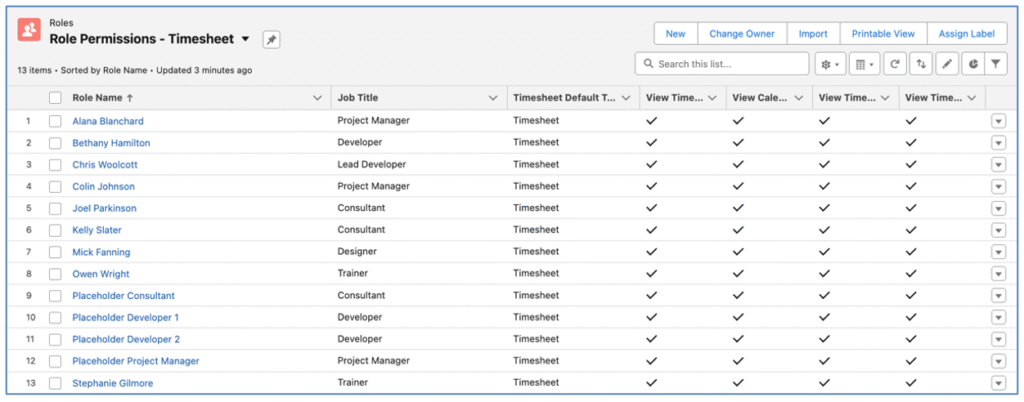 21. Role Timesheet Settings List View Mission Control Salesforce Project Management