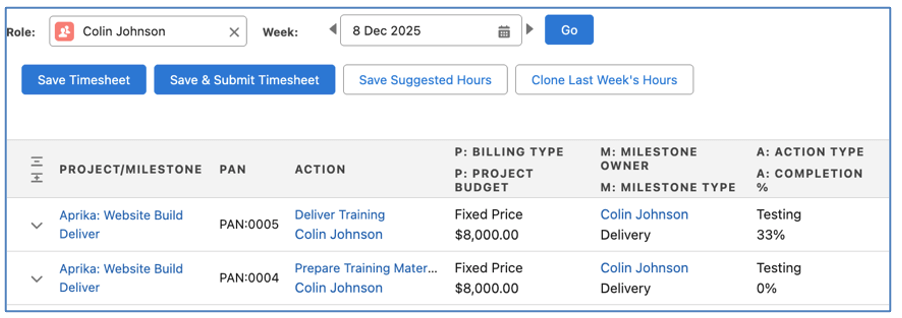27. Timesheet Additional Fields Mission Control Salesforce Project Management