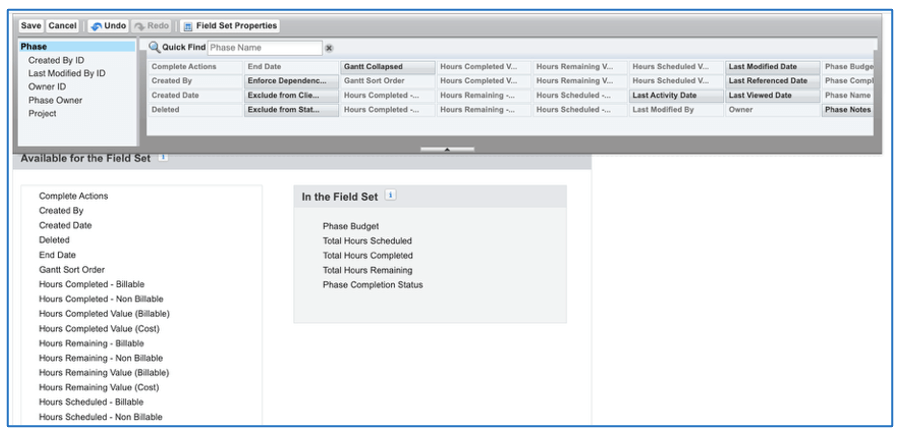 36. Client Read Only Phase Custom Field Set Mission Control Salesforce Project Management