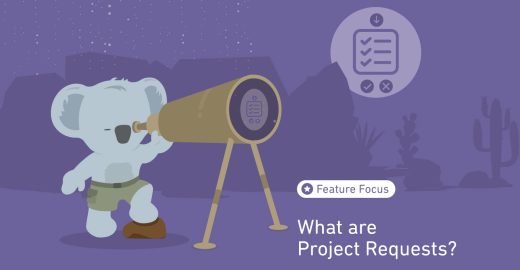 What are Project Requests
