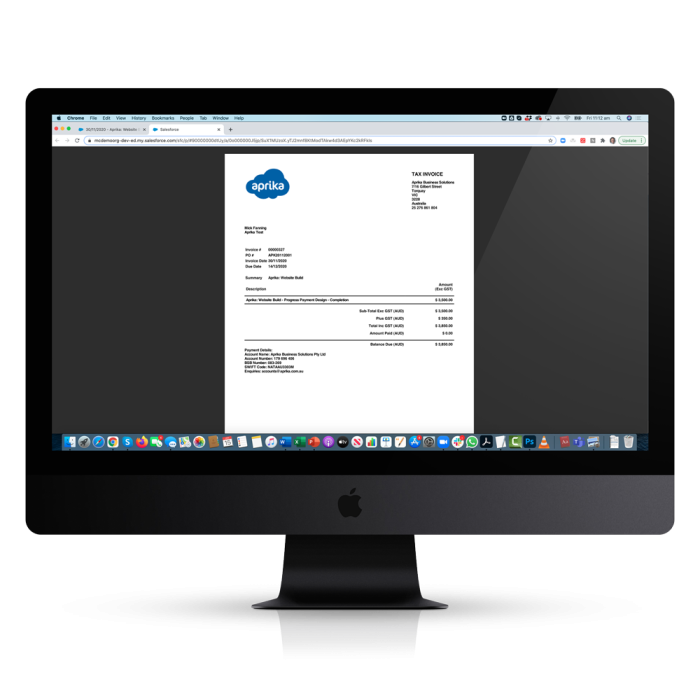 Project Financials Invoice-PDF-with-Monitor