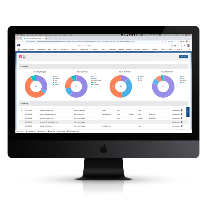 Project Management Issue-Log