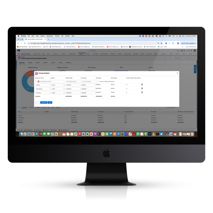 Project Financials Manage-Budget-Items