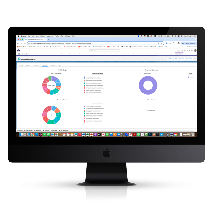 Portfolio Project Management Portfolio-Analytics-1