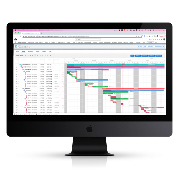 Project Management Portfolio-Gantt-Chart