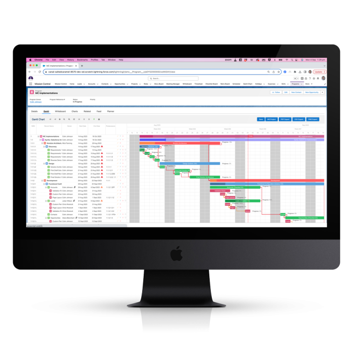 Program Management Program-Gantt-Chart