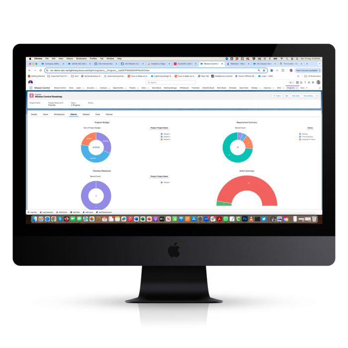 Program Management Program-Overview---Charts