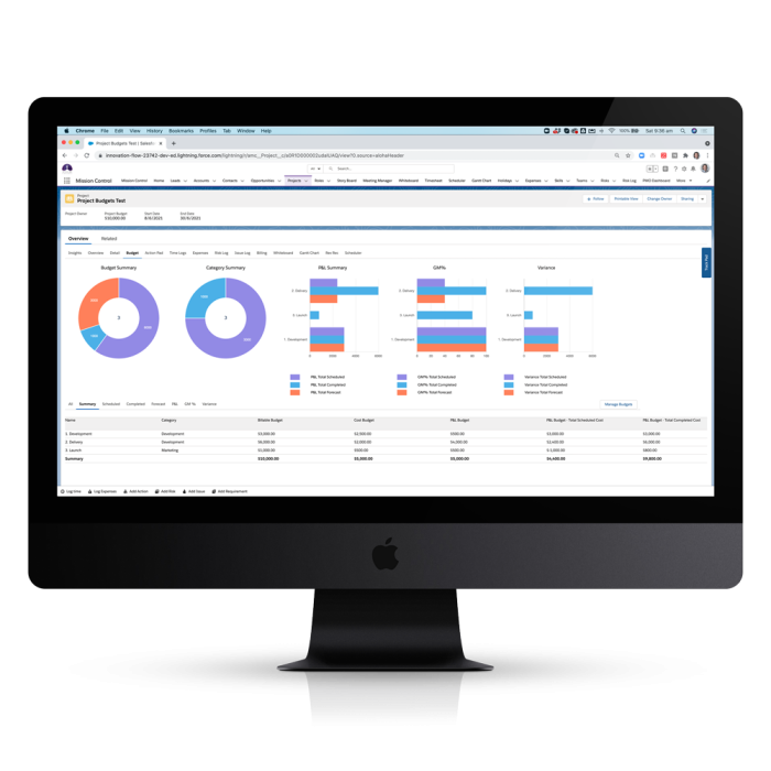 Project Management Project-Budget-Items-Summary-Tab