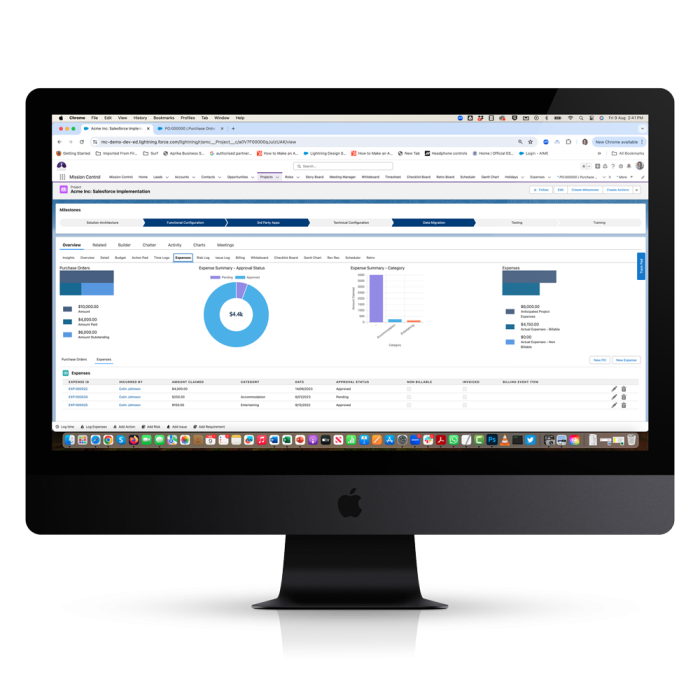 Project Financials Project-Overview-Expenses-Tab