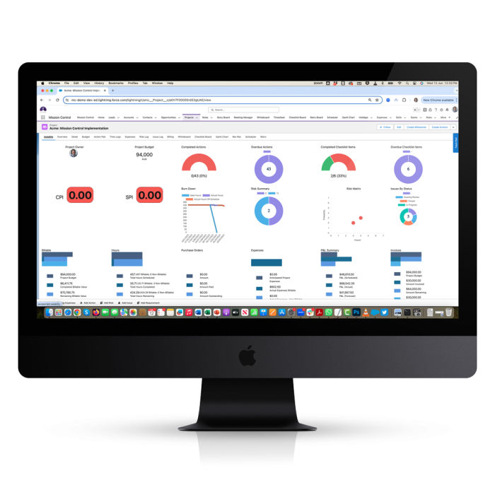 Project Financials Project-Overview---Insights-Tab