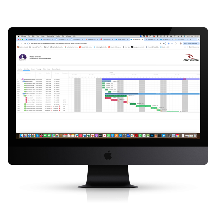 Project Collaboration Read-Only-Page---Gantt