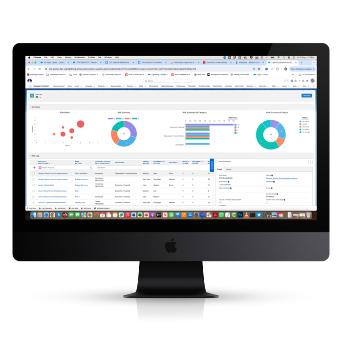 Project Management Risk-Log-Standalone