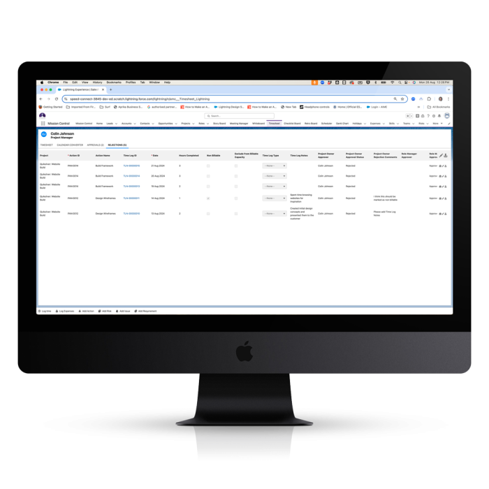 Mission Control Salesforce Project Management Timesheet Rejections Tab