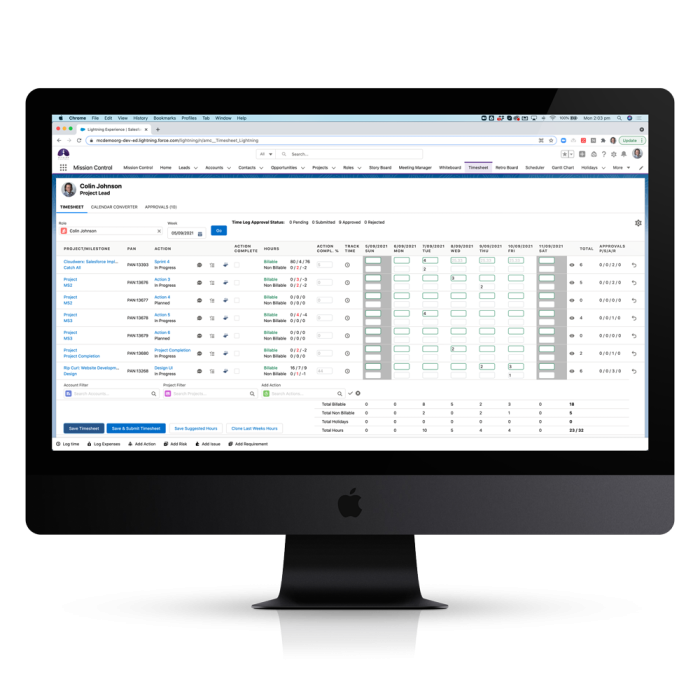 Project Time Tracking Timesheet